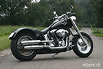 gp's FAT BOY